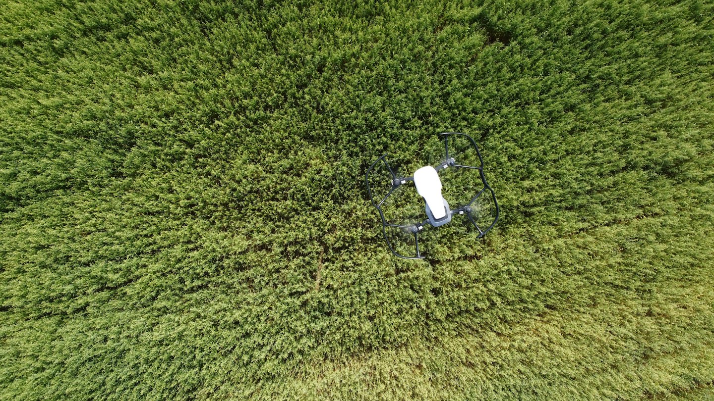 Un drone bianco in volo sopra un campo di coltivazioni verdi.