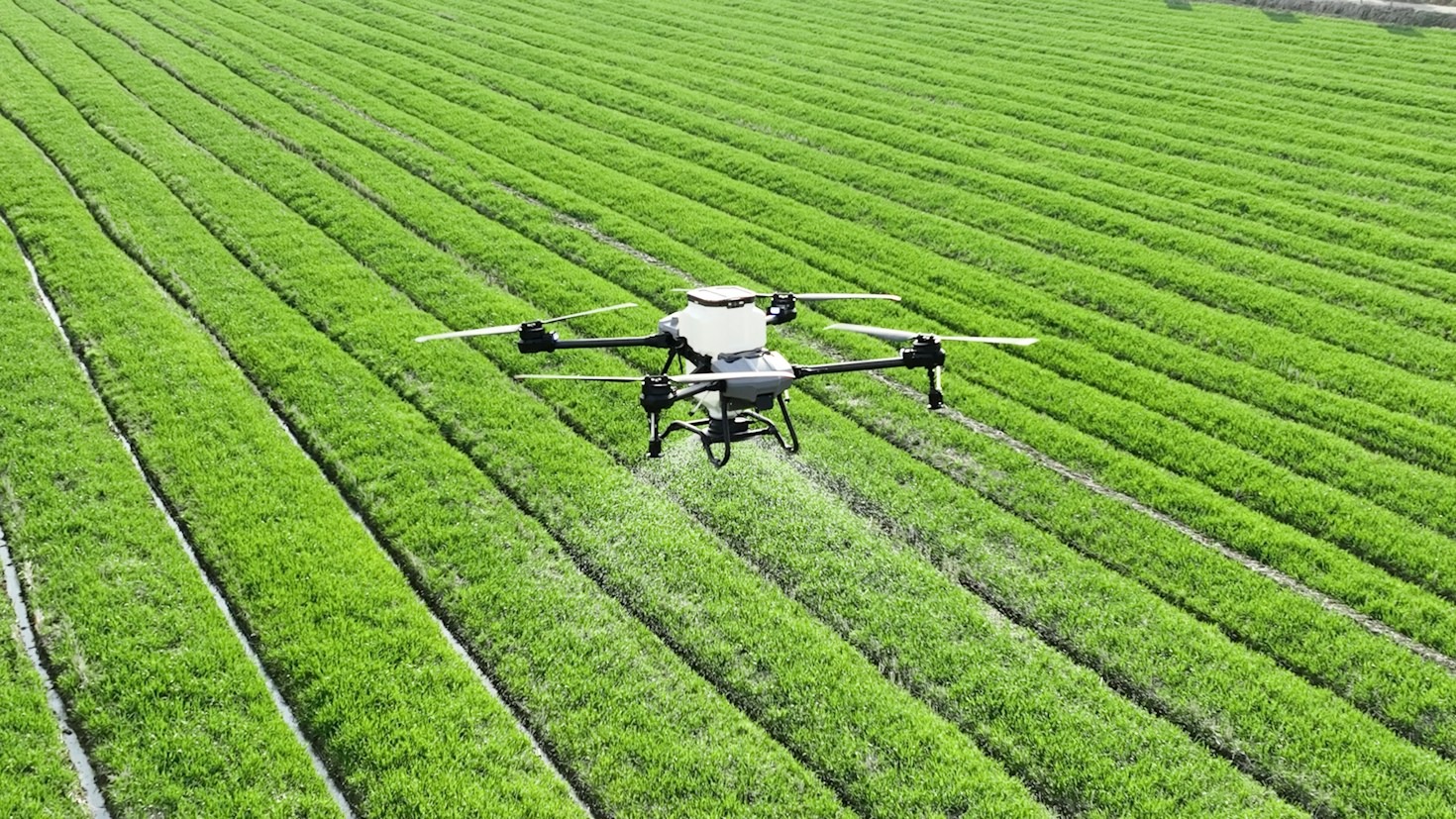 Come il drone DJI Agras T50 rivoluziona i trattamenti fogliari