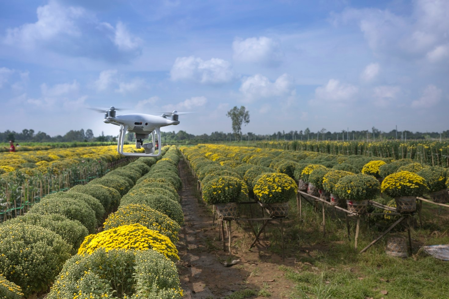 Ottimizzare la resa del frutteto con la tecnologia aerea avanzata